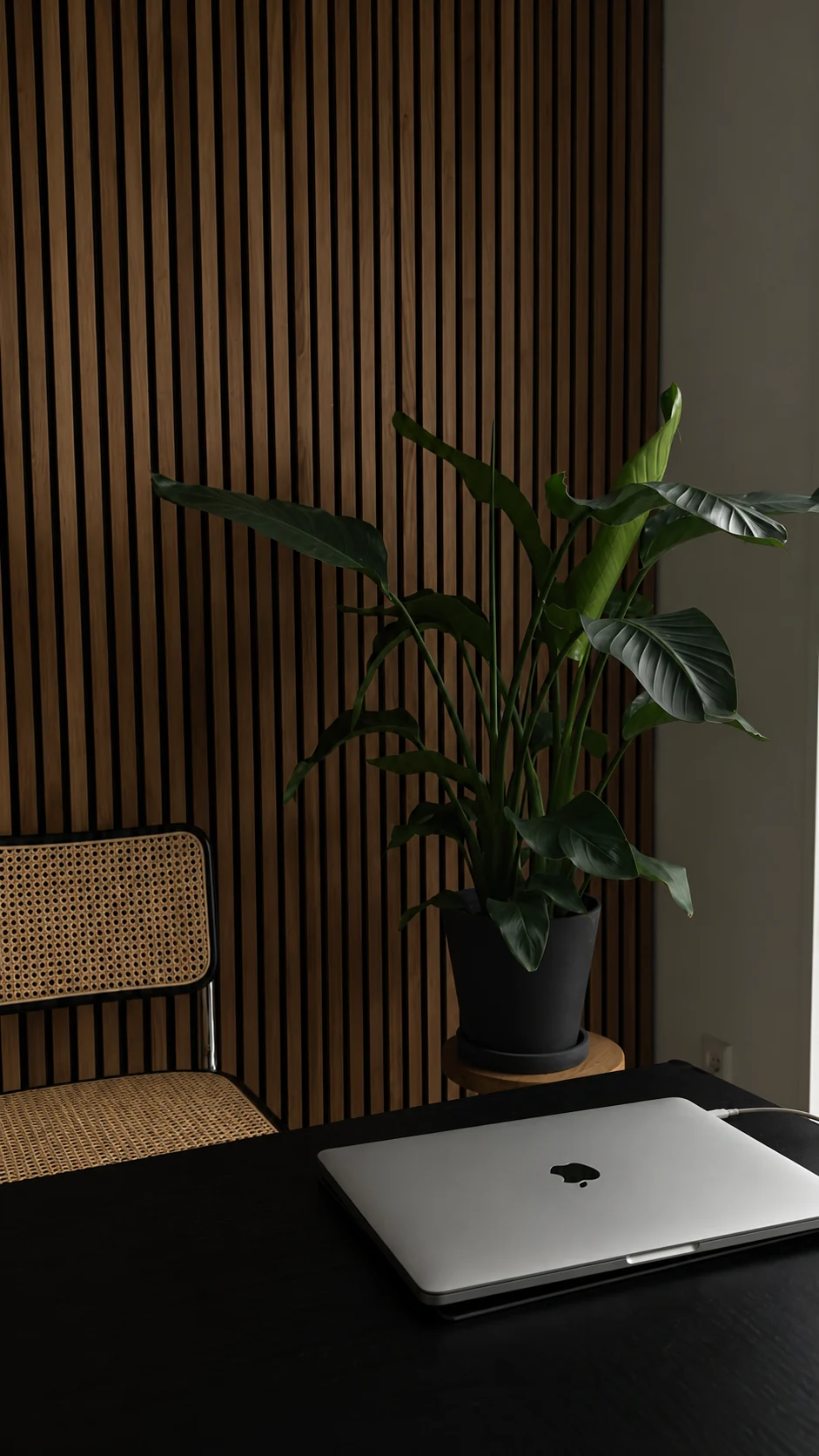 Creative workspace with laptop for beginner content creation